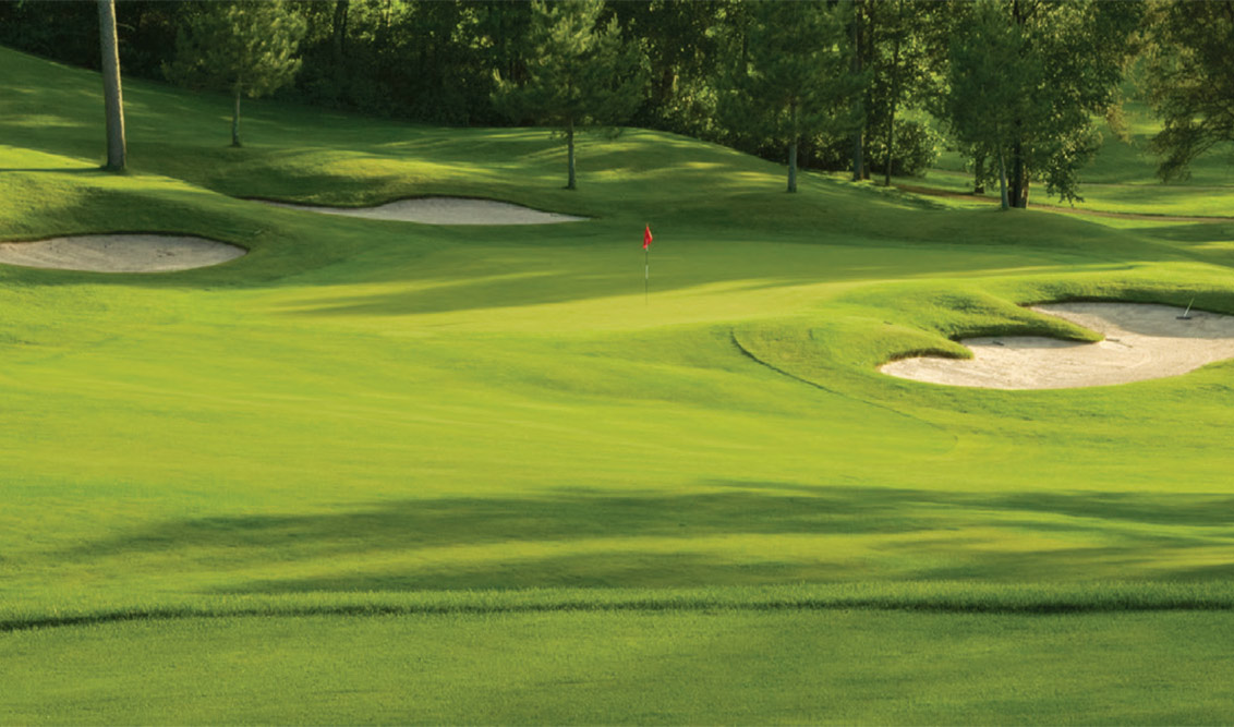 Césped Verde Campo de Golf